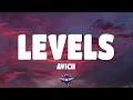 Avicii - Levels (Lyrics)