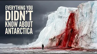 Everything You Didn't Know About Antarctica