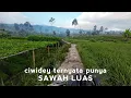 Download Lagu Bukan Hanya KEBUN TEH Ciwidey Ternyata Punya Sawah Tersembunyi