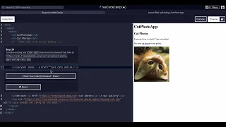 FreeCodeCamp - Responsive Web Design