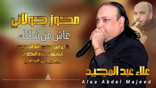 عاش من شافك مجوز جولاني علاء عبد المجيد و شاعر المجوز عبدالله الحريري 2025 