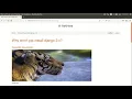 Python Django and SQLite Project on AskHere Discussion Forum Website