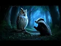 Video de una animación de un búho