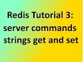 Redis Tutorial 3 server commands strings get and set example