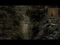 Ethel Cain - Janie (Official Visualizer)