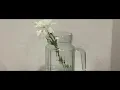 ENG SUB | YEW - ลมแล้ง (Summertime) feat.LANDOKMAI [ UNOFFICIAL MV ]