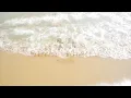 335 104th street Stone Harbor - Hugh Merkle Team