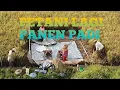 PETANI LAGI PANEN PADI