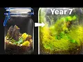 Download Lagu My Closed Terrarium After 7 Years of Life in a Jar