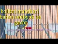 Download Lagu Kolibri matahari gacor