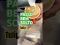 Download Lagu PASSO BEM SOLTO(slowed) ~tulip art 🌷 #phonk #music #coffeeart #asmr #nepal #passobemsolto #slowed