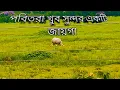 Download Lagu পবিতরা খুব সুন্দর একটি জায়গা পবিতরা গন্ডার দেখে নিন     very beautiful place pobitora rhinos
