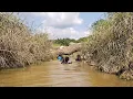 Lagu Begini Kalau Hidup Di Kalimantan Saat Kemarau Datang, Sampai Bingung Ngambilin Ikan Saking Banyaknya