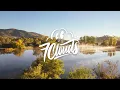 Puretone - Addicted To Bass (Dom Dolla Relapse) (Lyrics)