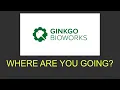 Where is Ginko Bioworks stock headed A DNA chart analysis