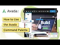 How to Use the Avada Command Palette