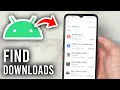 How To Find Downloads On Android - Tutorial