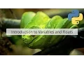 Python Variables and Floats - an introduction