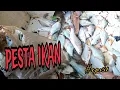 Download Lagu Tahan jaring ikan / hasil padu pesta kerai lampam lagi ada bonus lagi (#eps51)