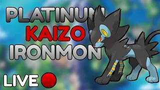 Continuing My First Ever PLATINUM KAIZO IRONMON Live