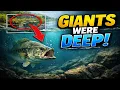 Your Secret Spot Is A Lie Here s Where The Real Giants Are