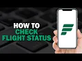 How To Check Flight Status on Frontier Airlines Easiest Way