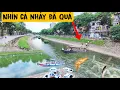 Download Lagu Sông Tô Lịch Quá Đẹp Cá Nhảy Nhót Tưng Bừng , Chào Mừng Quốc Khánh 2/9