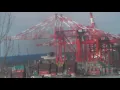 Timelapse PNCT New Liebherr Gantry Cranes