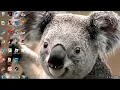 Peer to Peer sharing folder