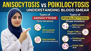 Anisocytosis and poikilocytosis explained with microscopic images#microscope#education#knowledge 