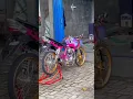 Download Lagu Story wa. Tiger trondol terbaru