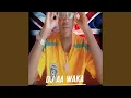 Download Lagu WAHAI NIYA