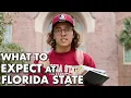 What To Expect When Coming To Florida State FSU Survival Guide