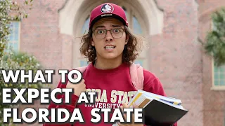 What To Expect When Coming To Florida State FSU Survival Guide