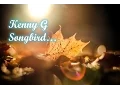 Download Lagu Kenny G - Songbird