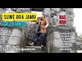 Download Lagu SUWE ORA JAMU !!! @gatutprianto6337