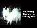 Fat Dog - Smile and Wave - Lyrics