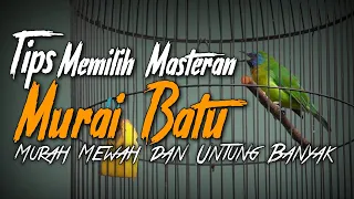 masterannya aja seperti ini gimana murai batunya nanti