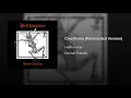 Crucifixion (Rerecorded version)