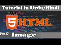 HTML5 Tutorials in Part 12 Images