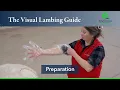 The Visual Lambing Guide Preparation