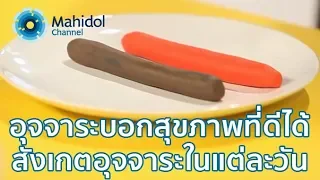 ลักษณะอุจจาระแบบไหนที่ถือว่าปกติ ตามเกณฑ์ Bristol Stool Scale