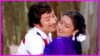 NTR, Krishna, Sridevi, Radhika Superhit Video Song | Vayyari Bhamalu Vagalamari Bhartalu Songs