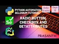 Day 12 Radio Button CheckBox Get Attributes Python Selenium Tutorial