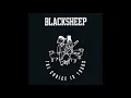 Black Sheep - The Choice Is Yours (Revisited) (Radio Edit)
