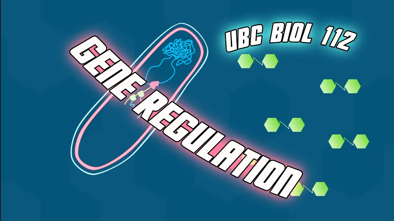 Gene Regulation - Biol 112 at UBC