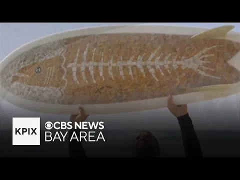 "Cigarette Surfboard" documentary puts spotlight on scourge of cigarette butts polluting beaches