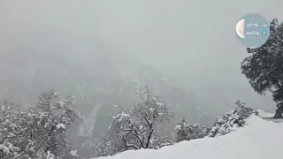 فيروز أجمل أغاني الشتاء بدون موسيقى 