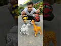 Download Lagu 2 Ta RC Giraffe and Remote Wala Zebra 🦓 Deko 😛