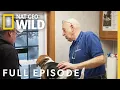 Deck the Halls with Dr Pol Full Episode The Incredible Dr Pol